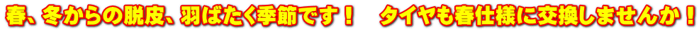 春、冬からの脱皮、羽ばたく季節です! タイヤも春仕様に交換しませんか!
