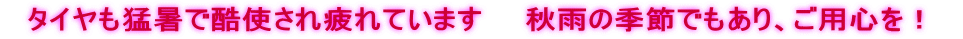 �@�^�C�����ҏ��ō��g������Ă��܂��@�@�H�J�̋G�߂ł�����A���p�S���I�@