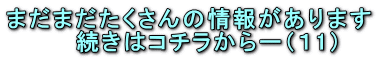 まだまだたくさんの情報があります 続きはコチラからー(11)