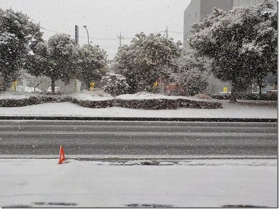 大雪の日に、雪が積もり始めたタイヤ専門店アローバの前